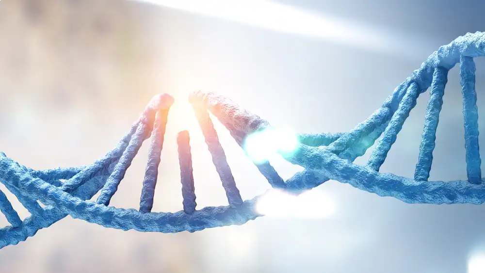 Close-up of a DNA double helix with sunlight in the background.